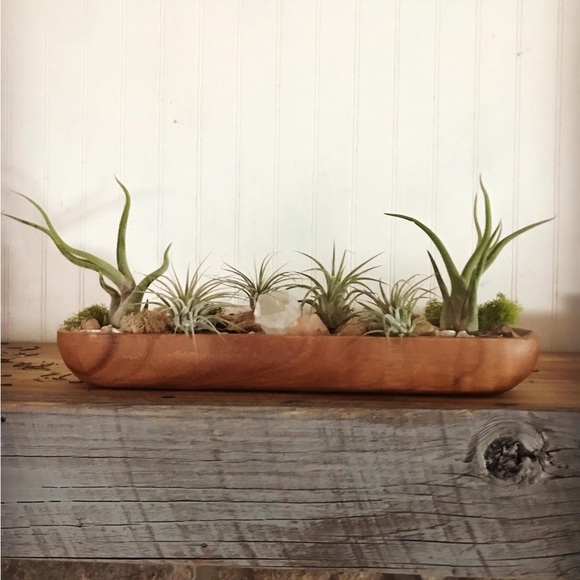 Handcrafted & Customized Crystal Gardens - Picture 13 of 15